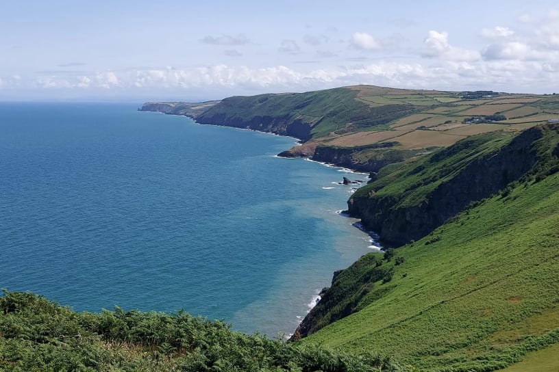 milligenhof-cardigan-bay-001
