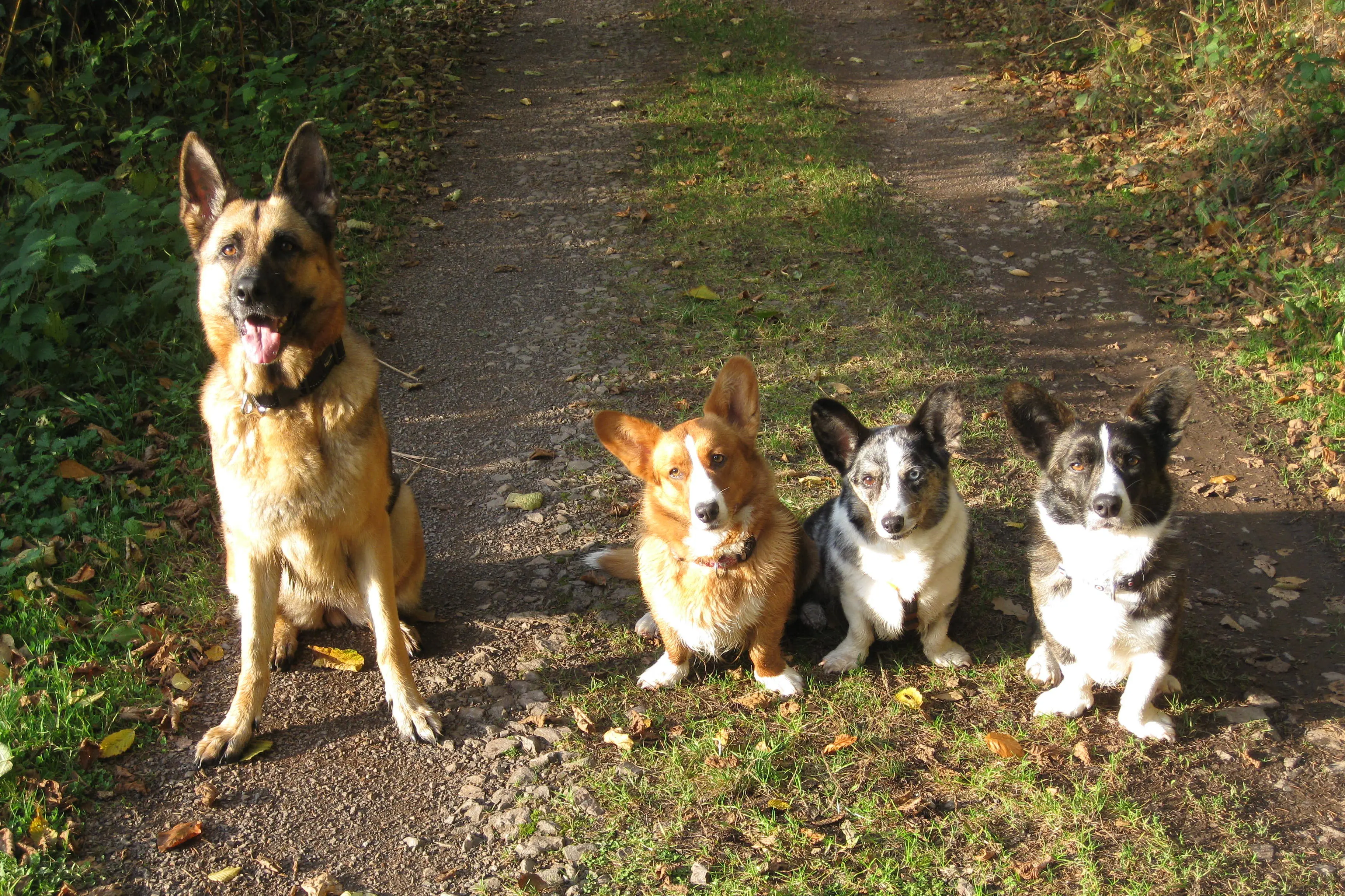 gps-lopen-eifel-002