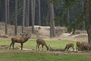 gps-lopen-reuzengebergte-006