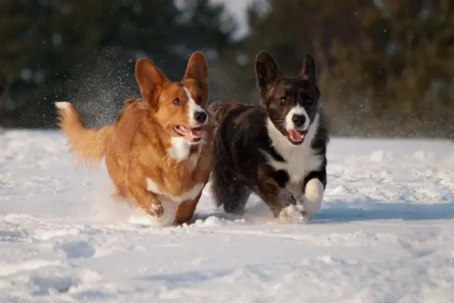 gps-lopen-sauerland-004