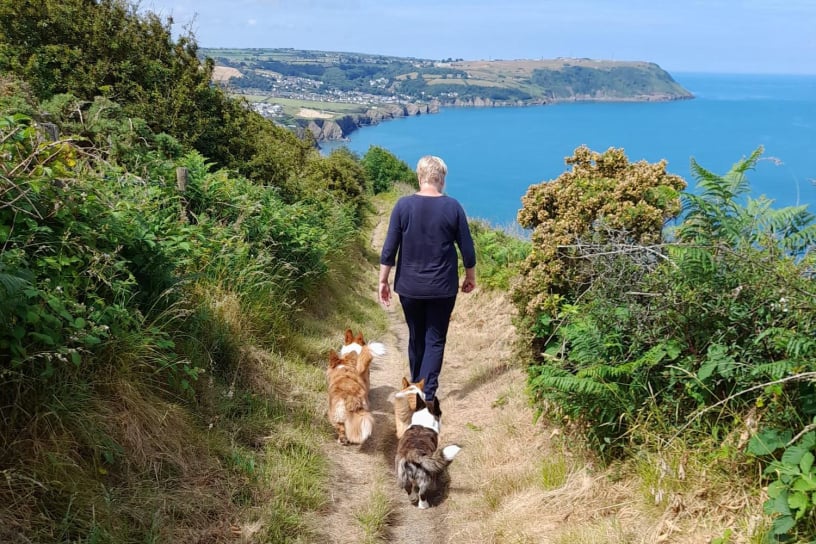 milligenhof-cardigan-bay-013
