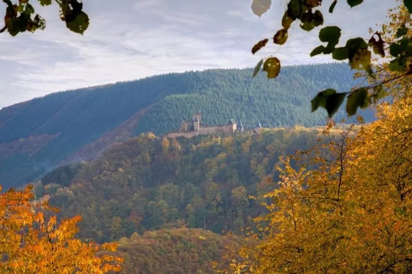 survival-in-de-ardennen-001