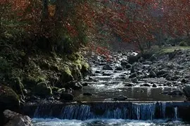 survival-in-de-ardennen-004